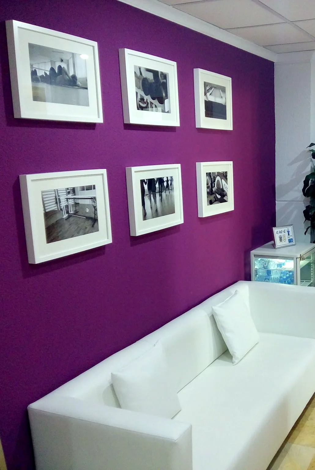 Recibidor de Studio 54: pared morada con seis fotos enmarcadas y un sofá blanco